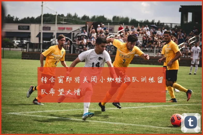 转会窗即将关闭小蜘蛛归队训练留队希望大增