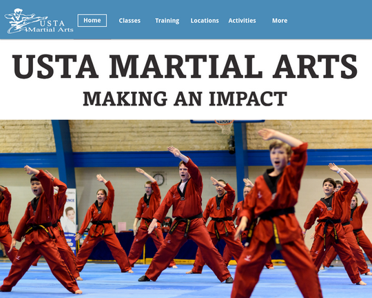 USTA Martial Arts Logo