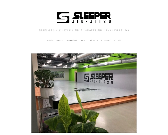 Sleeperjj.com Logo